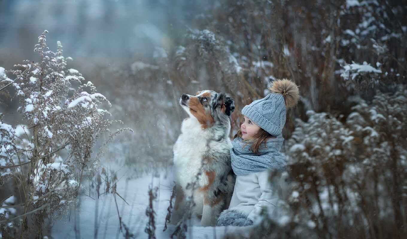 snow, winter, cute, dog, animal, baby, a cap, kid, pet