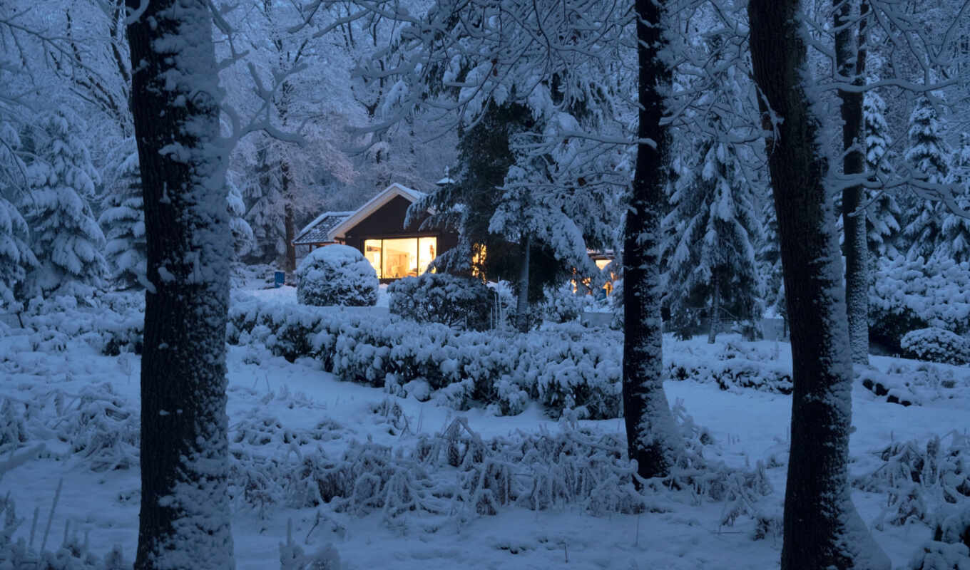 house, окно, снег, winter, гора, log, утро, кабина, blizzard, fore