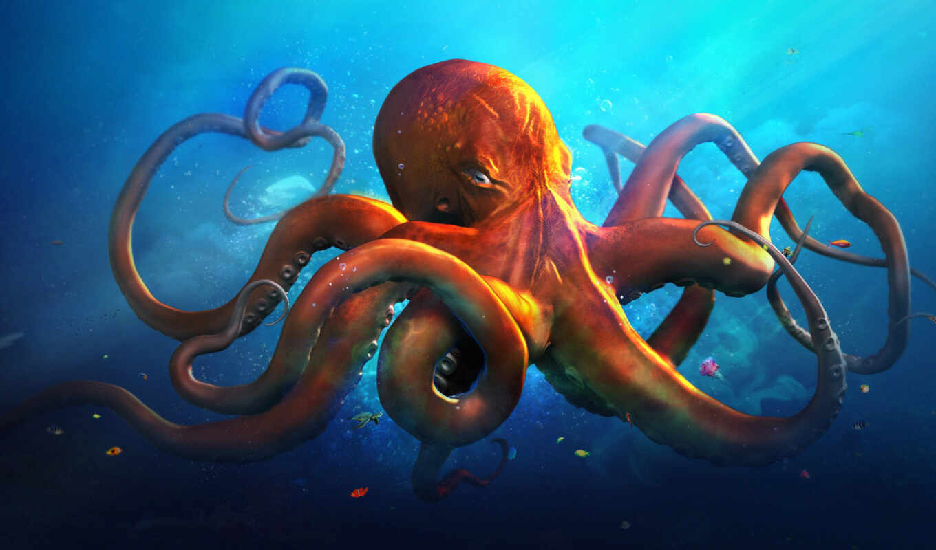 video, online, interesting, see, octopus, news, patriarchs