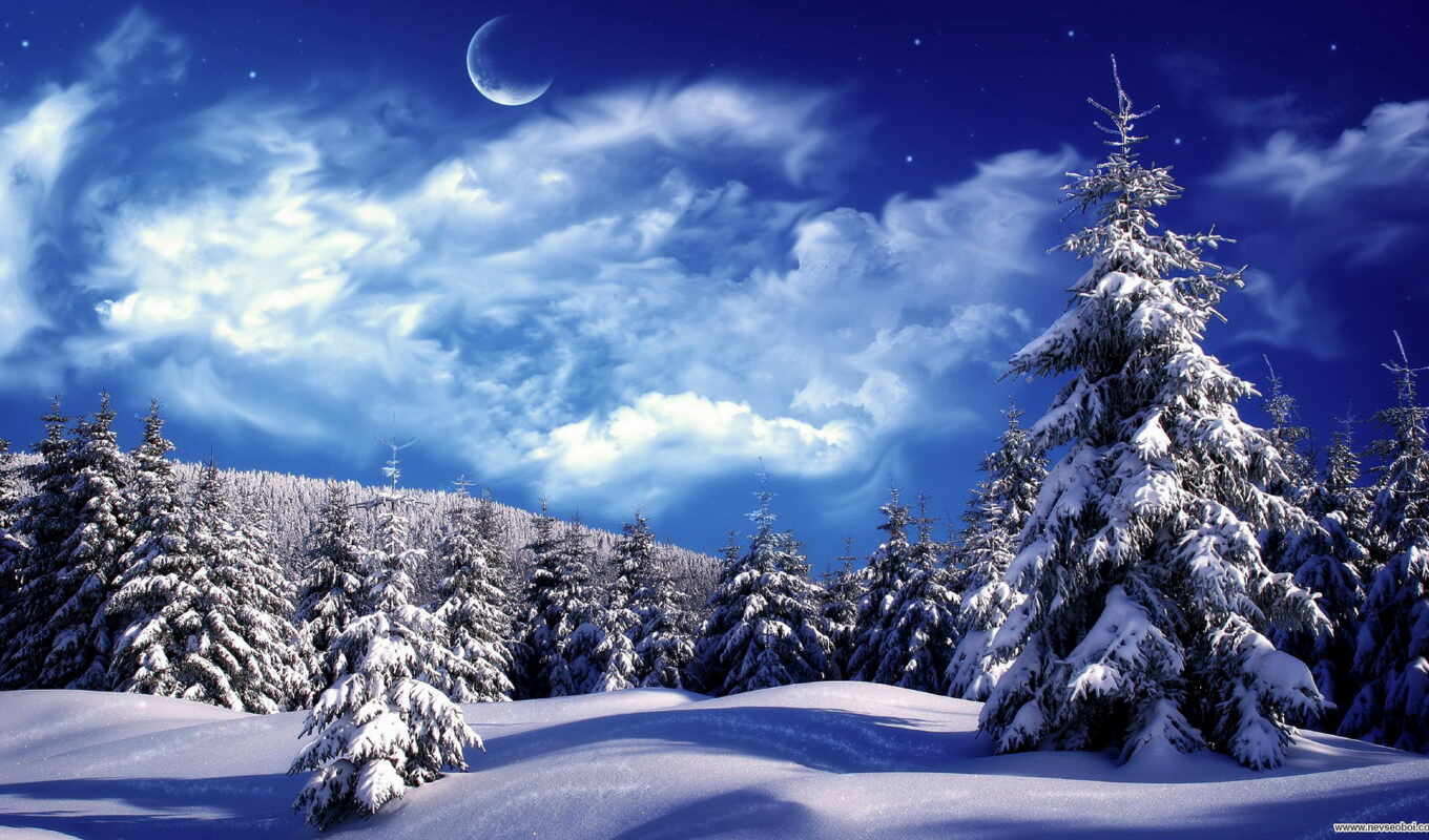 winter, лес, палуба, landscape, день, tapety, красивый, zdarma, zima, krajina