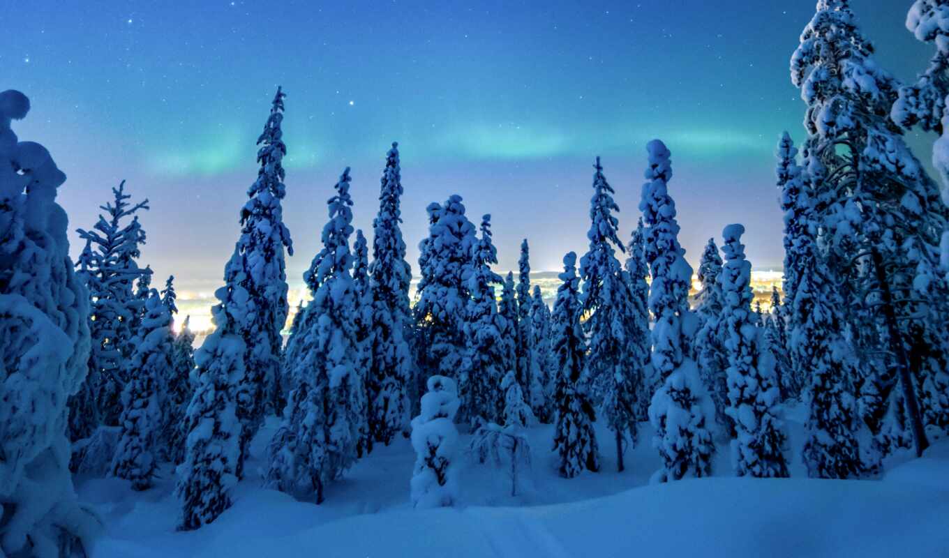 дерево, ночь, снег, winter, vibes