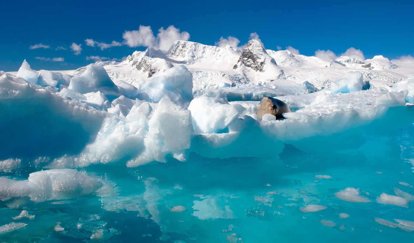 nature, ice, water, snow, ocean, north, fact, whether, antarctica