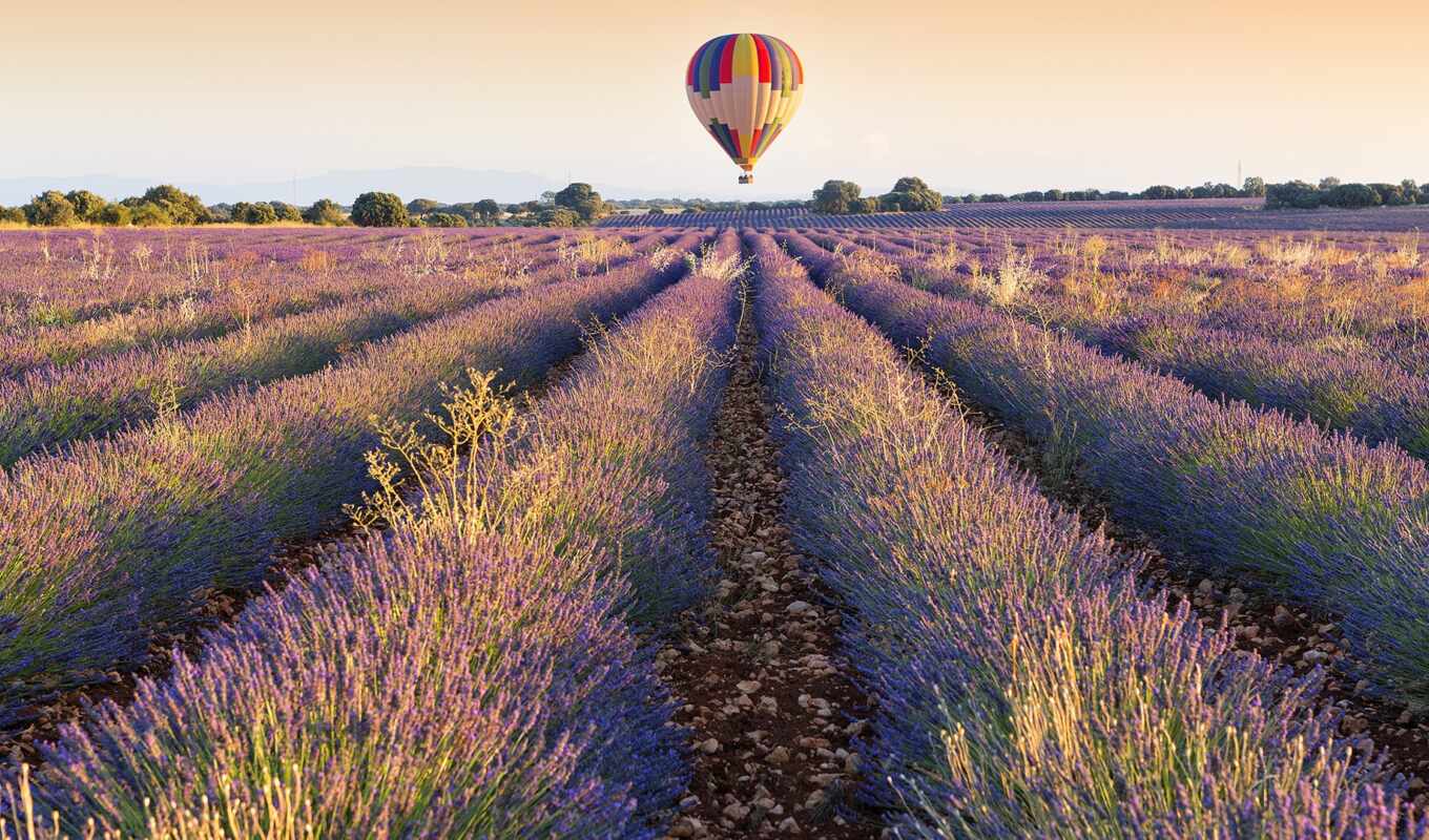 поле, испания, ферма, lavender, balloon, rare