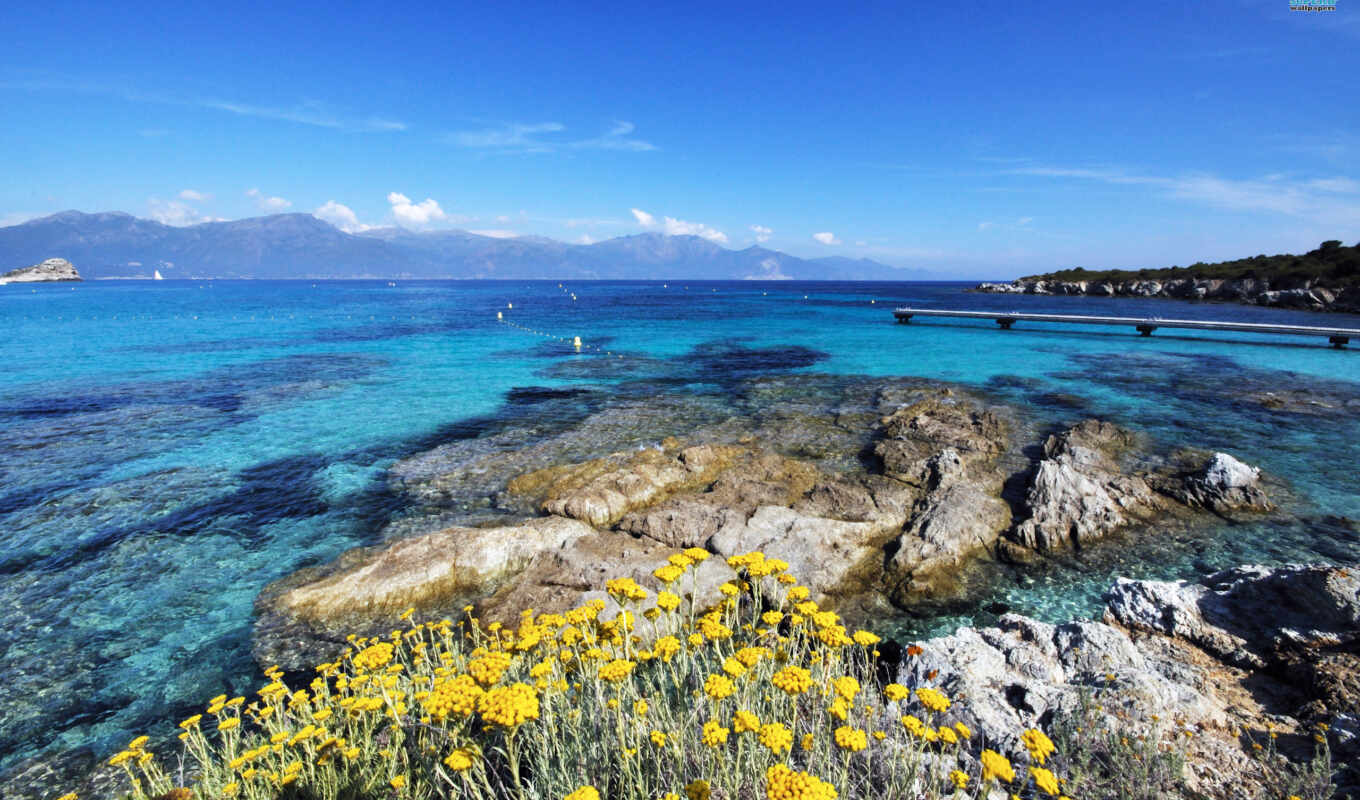 more, beach, France, see, island, pinterest, Corsica, run