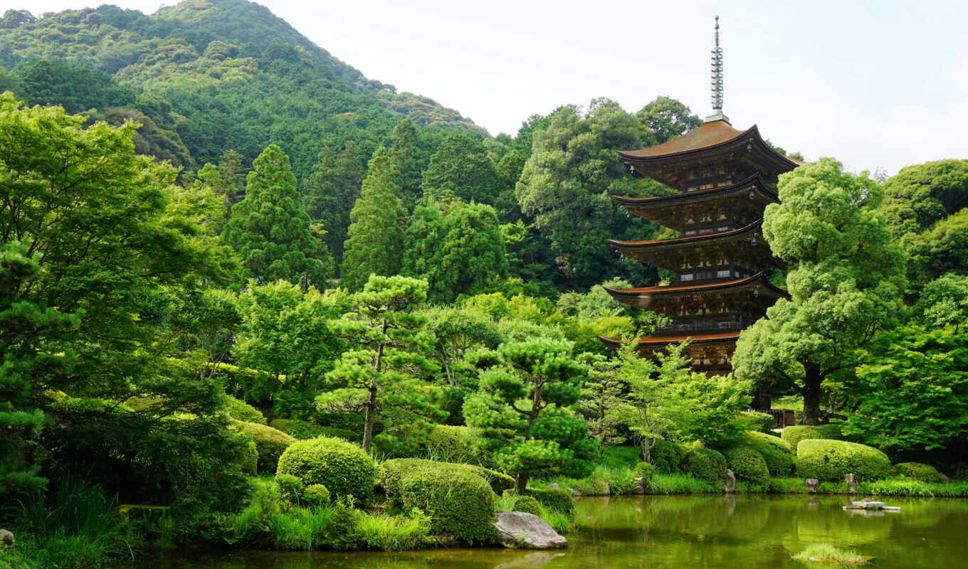 temple, japanese, Japan, because