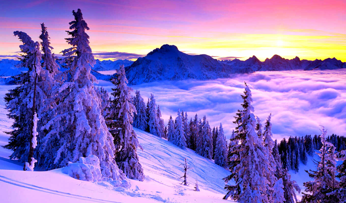 природа, небо, снег, winter, лес, trees, туман, oblaka, горы