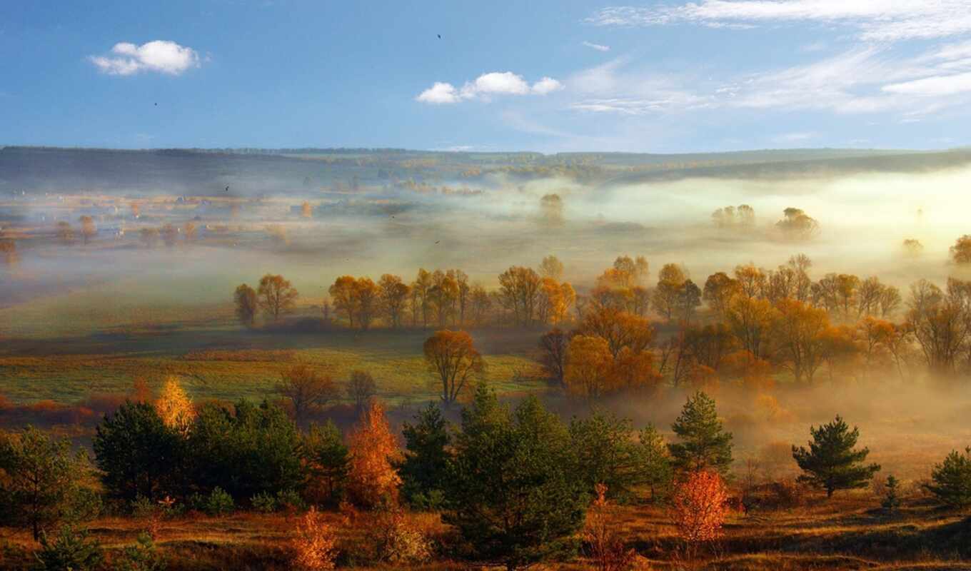 природа, пейзажи -, категории, осень, trees, туман