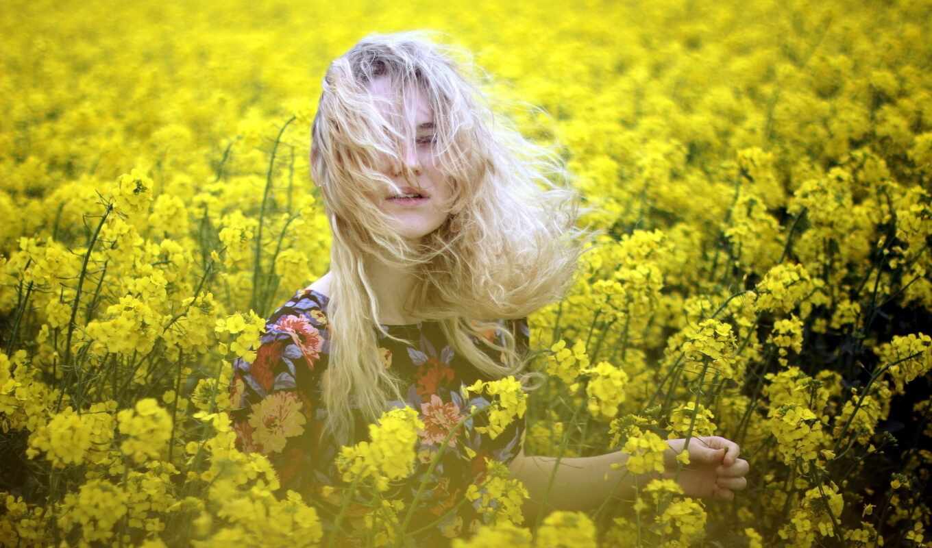 girl, field, hair, her, worth, wind, different, yellow, colors, adaptation