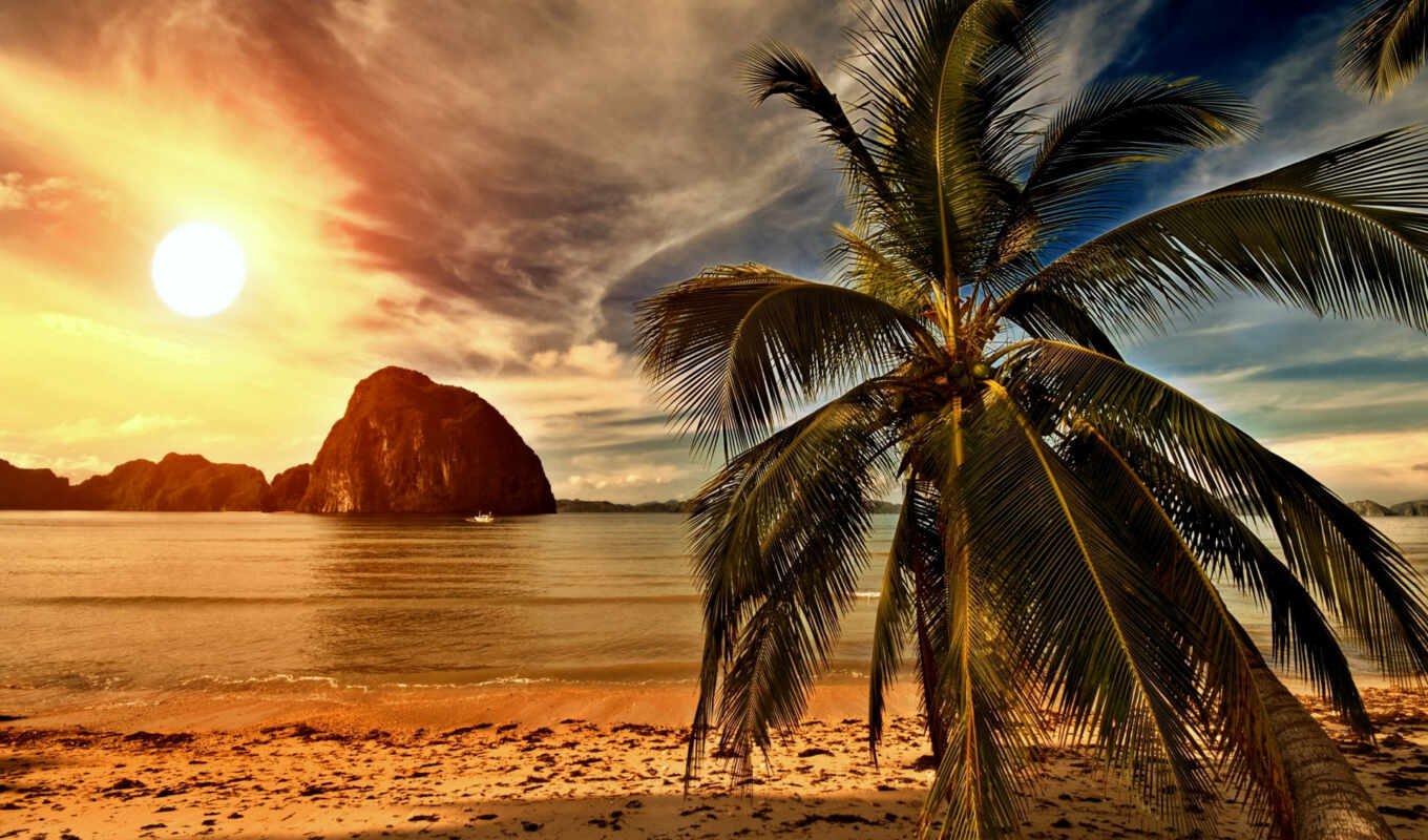nature, sunset, beach, landscape, sea, coast, palm trees, palm, photo wallpapers