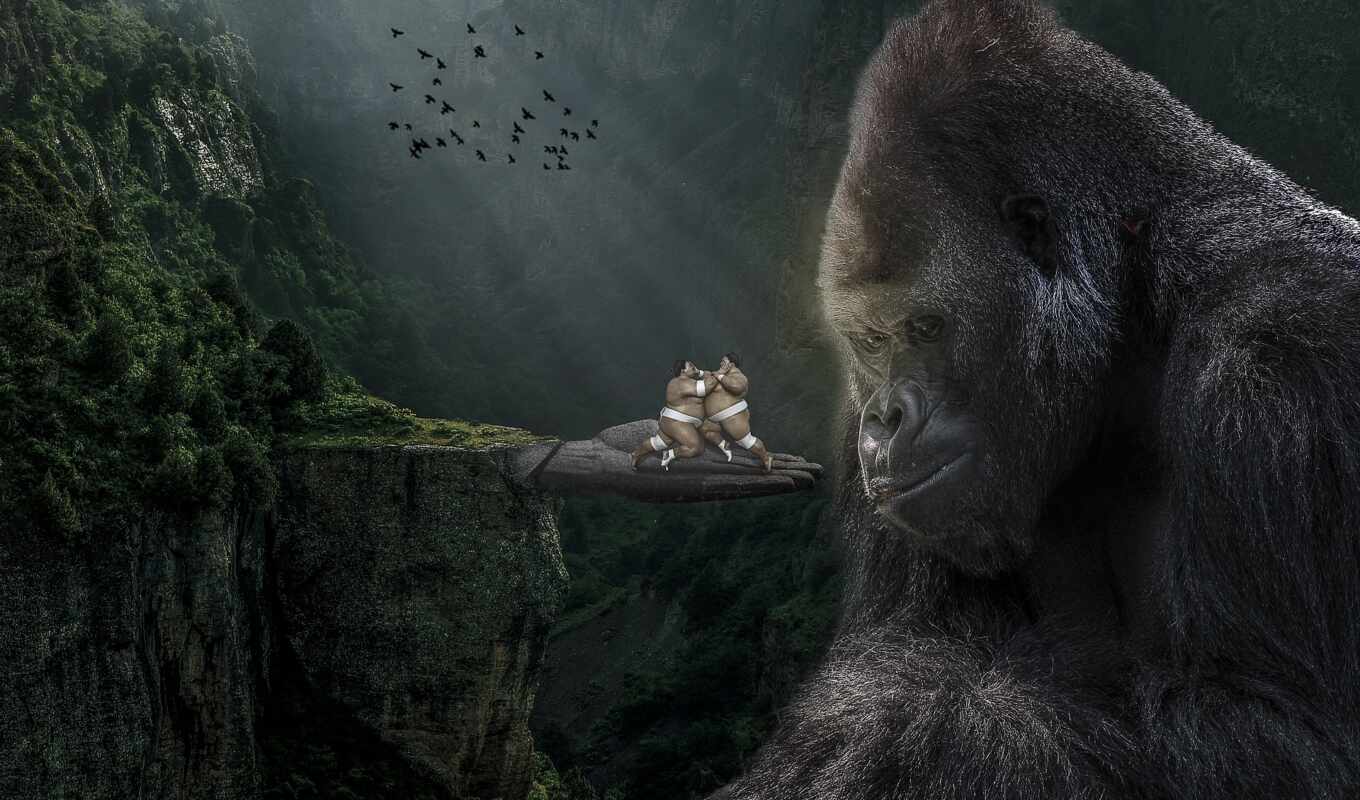 gorilla, silver