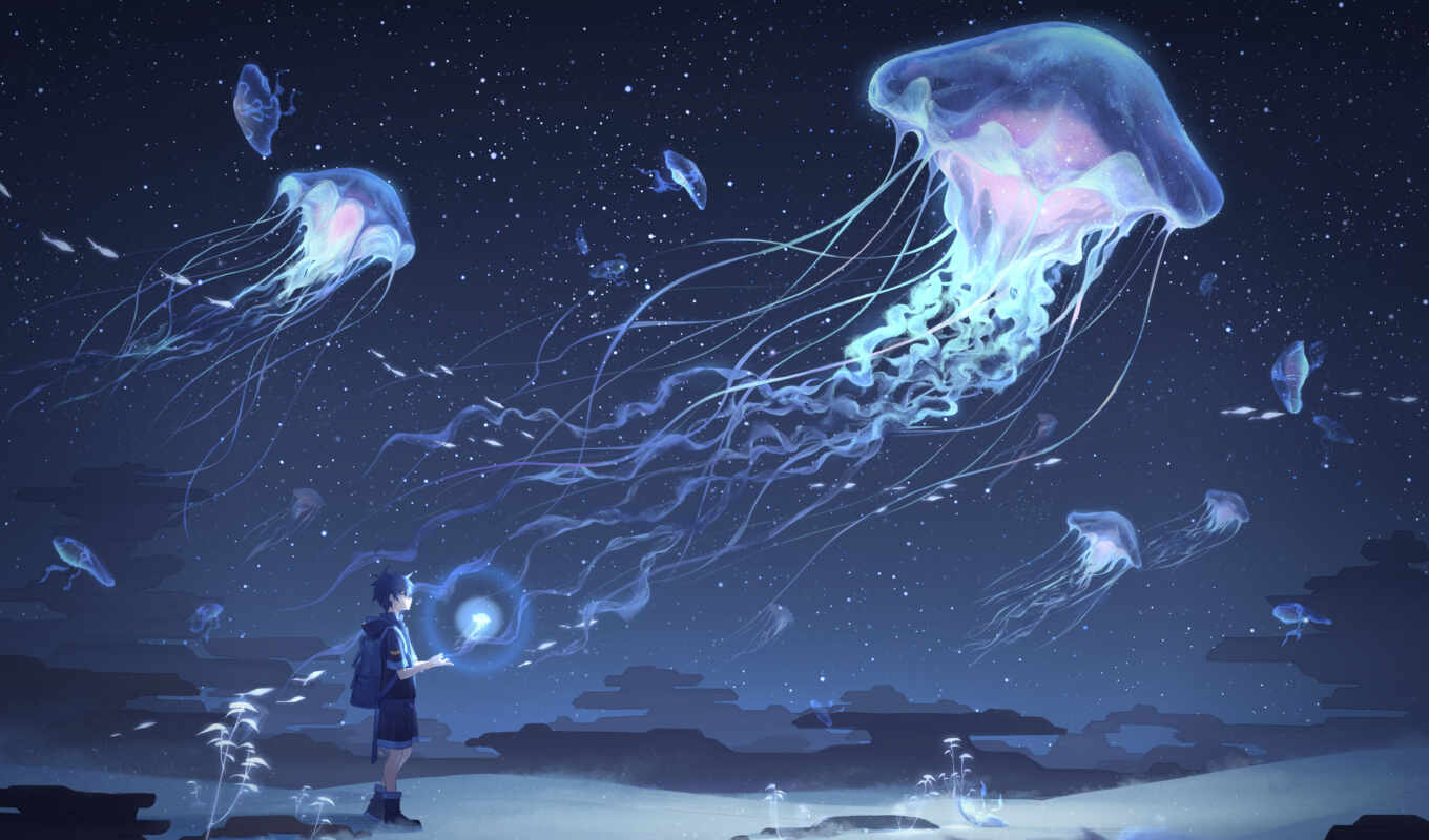art, картинка, jellyfish