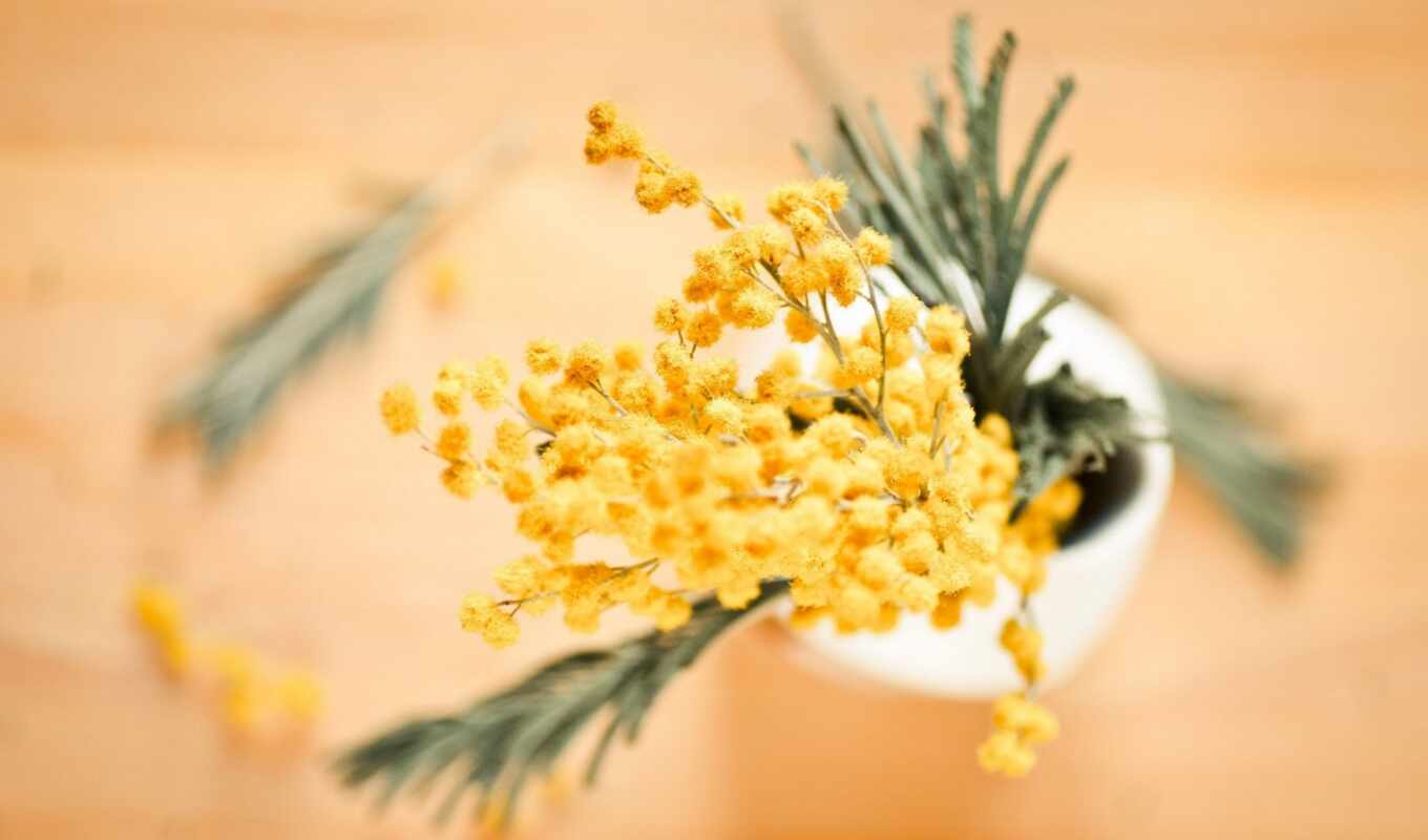 flowers, yellow, vase, bud, mimosa, blurring