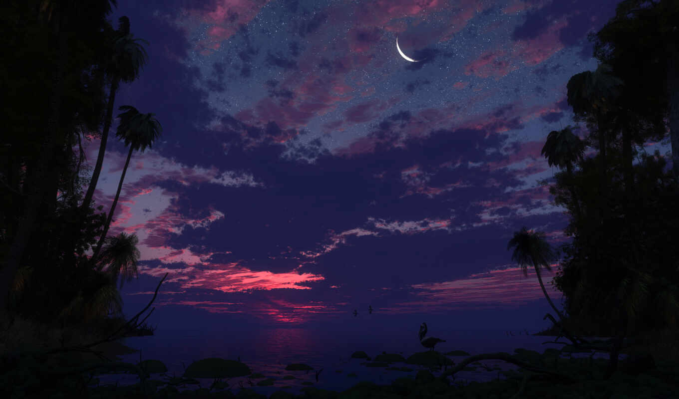 природа, небо, ночь