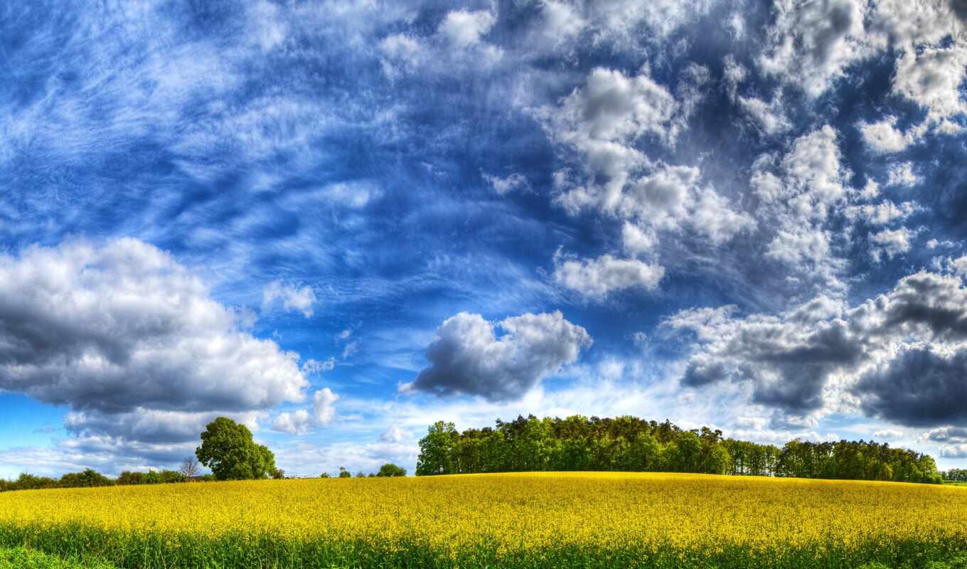 background, screen, hdr, sky, landscape, campos, nature, free, cloud, herb