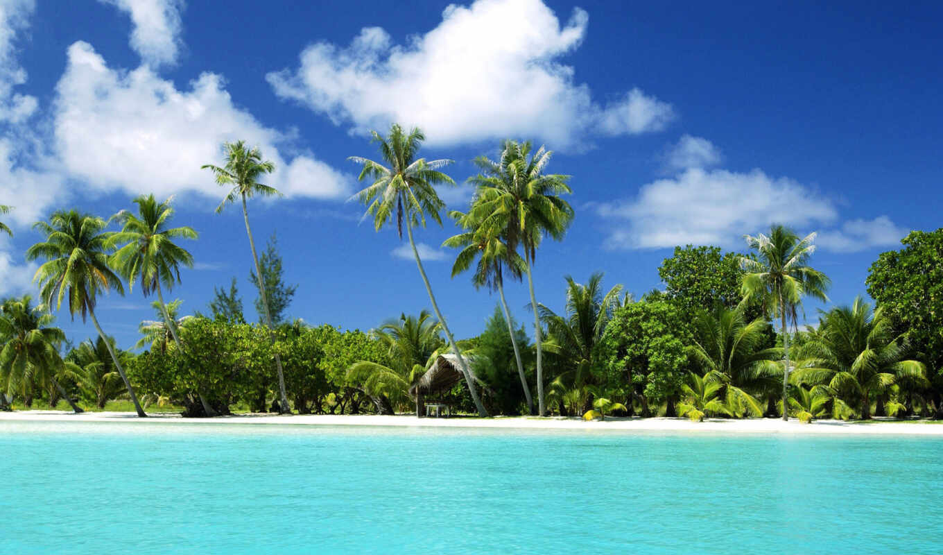 summer, sun, пляж, море, песок, пальмы, остров, ocean, tropical, tropics