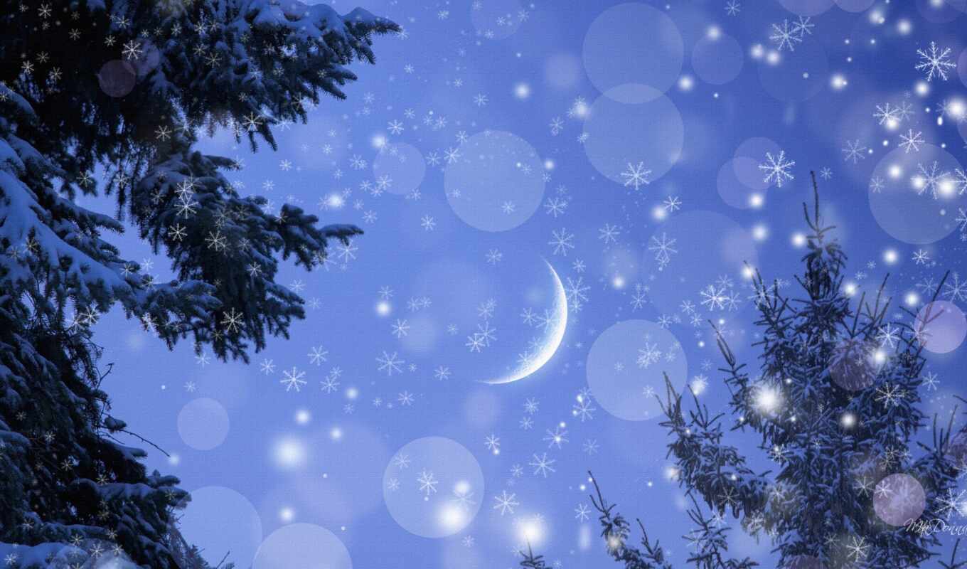background, cool, night, moon, winter, snowy, fore