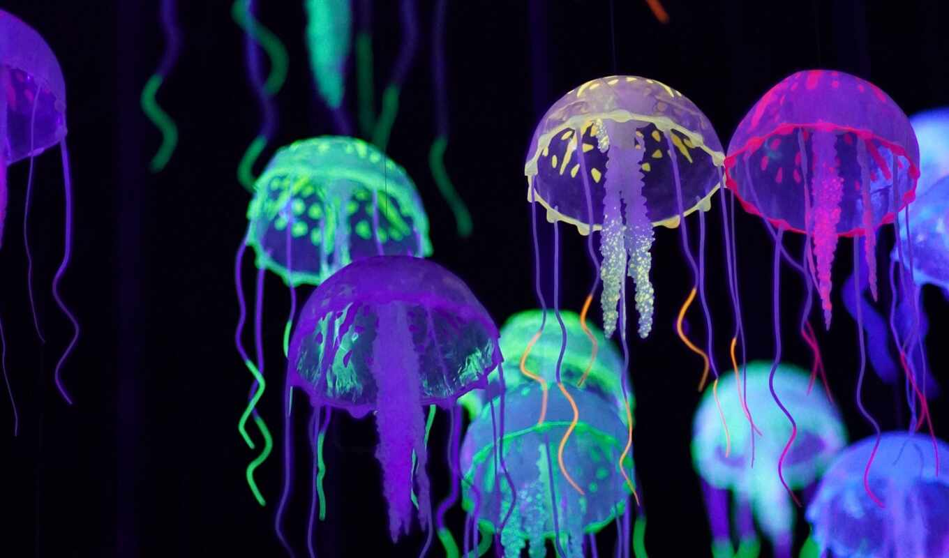 colorful, glow, jellyfish, multicolored