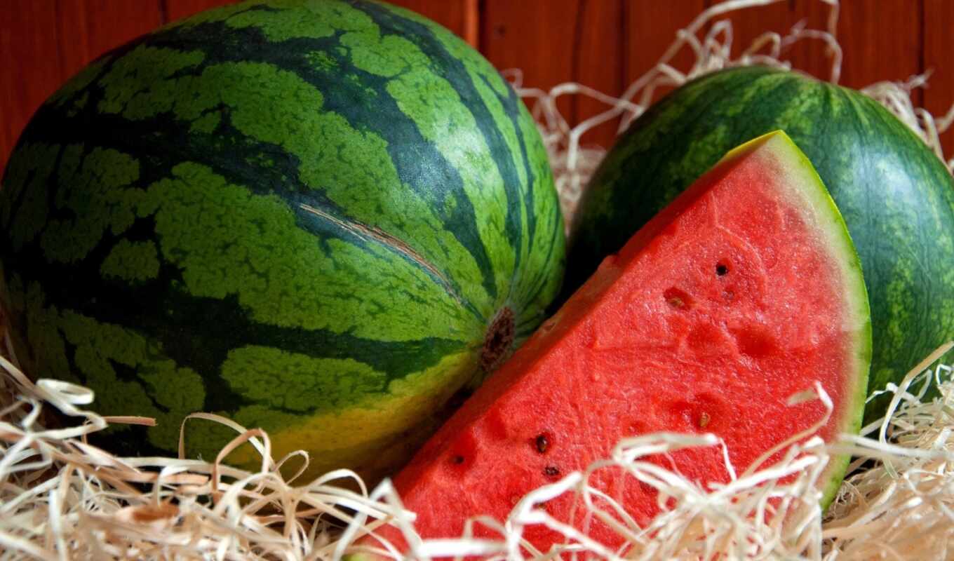 fetus, watermelon, seed