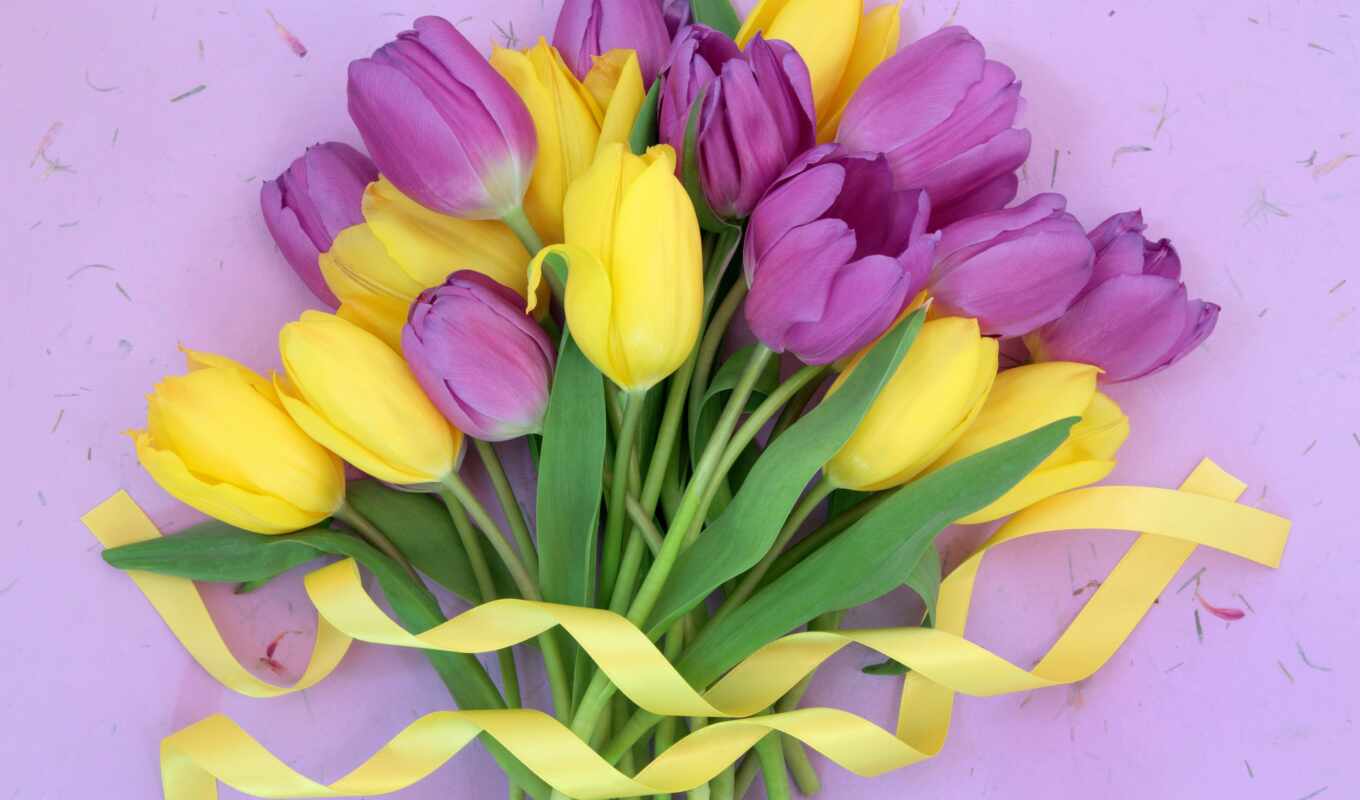 цветы, роза, purple, yellow, корзина, букет, tape, тюльпан