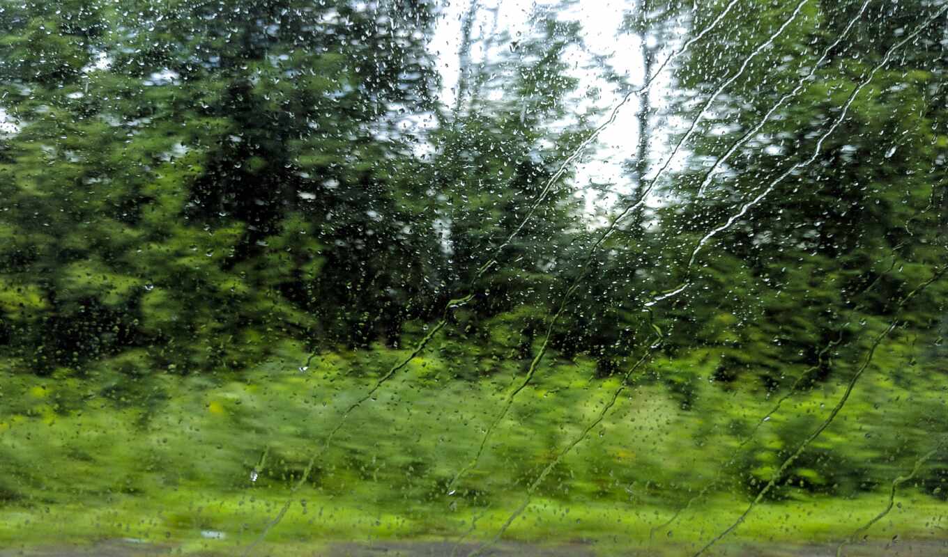drop, glass, rain, window, green, grass, water, leaf