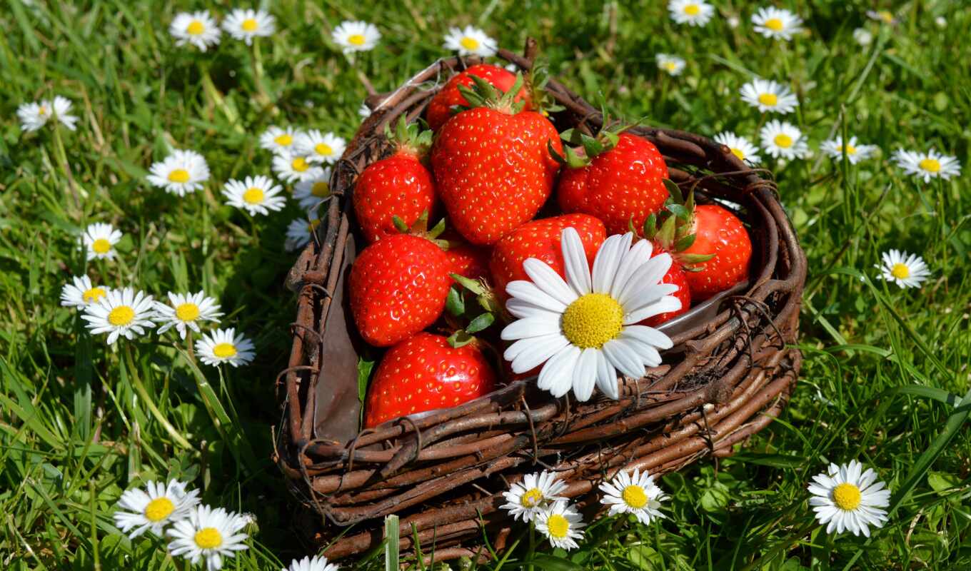 photo, flowers, grass, red, heart, strawberry, chamomile, product, berry, balls