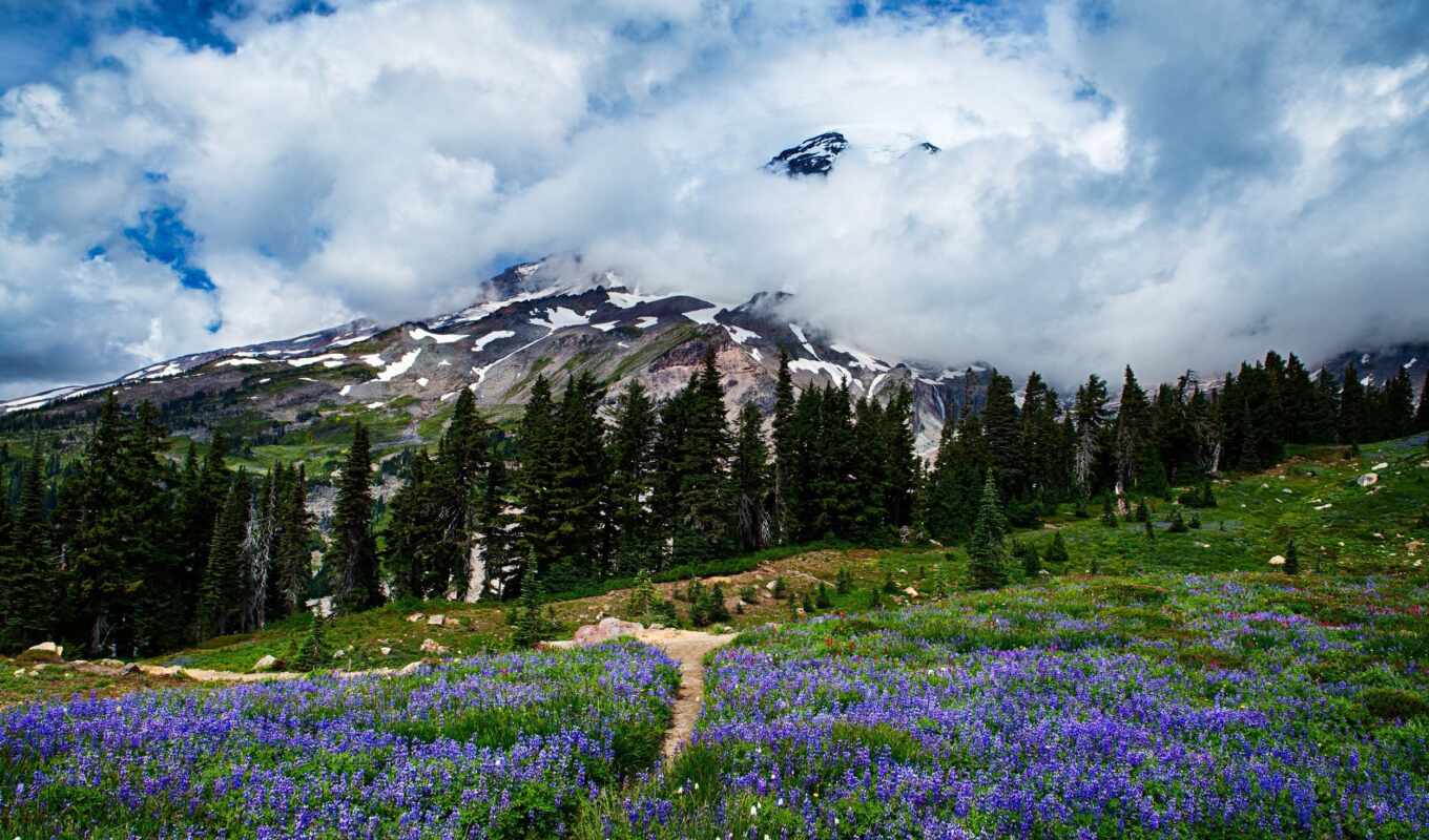 mountain, landscape, because