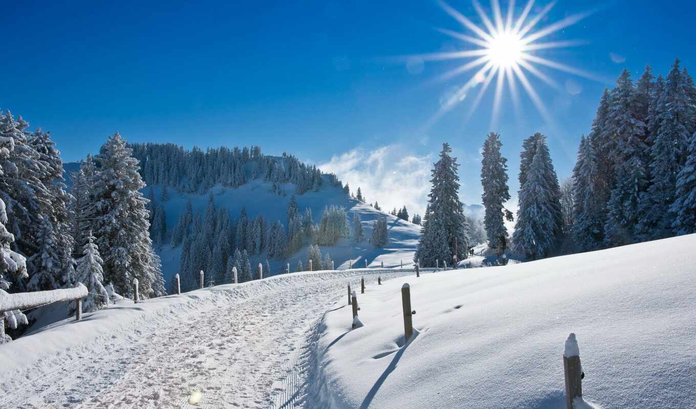 nature, sun, snow, winter, road, rays, highlights