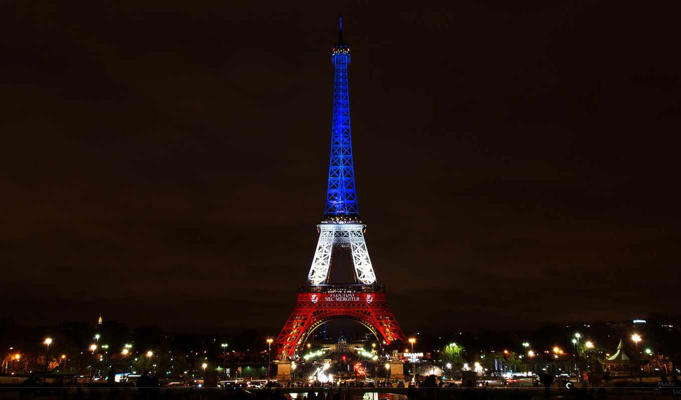 the, Paris, before, international, give birth, november, attack, attacks, response