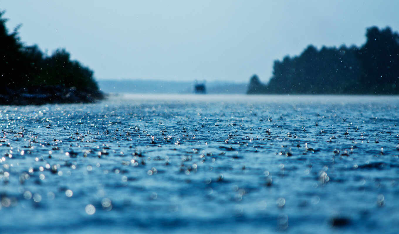 капли, дождь, макро, water, дождя