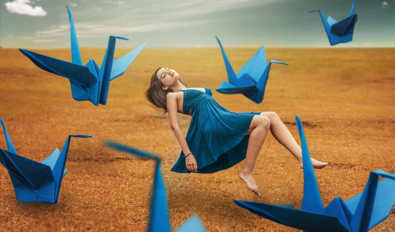 blue, girl, white, field, dress, crane, manipulation, nose, zhuravlik
