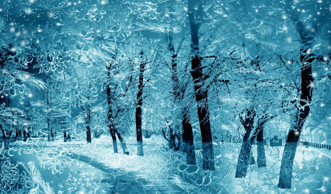 природа, blue, дерево, снег, winter