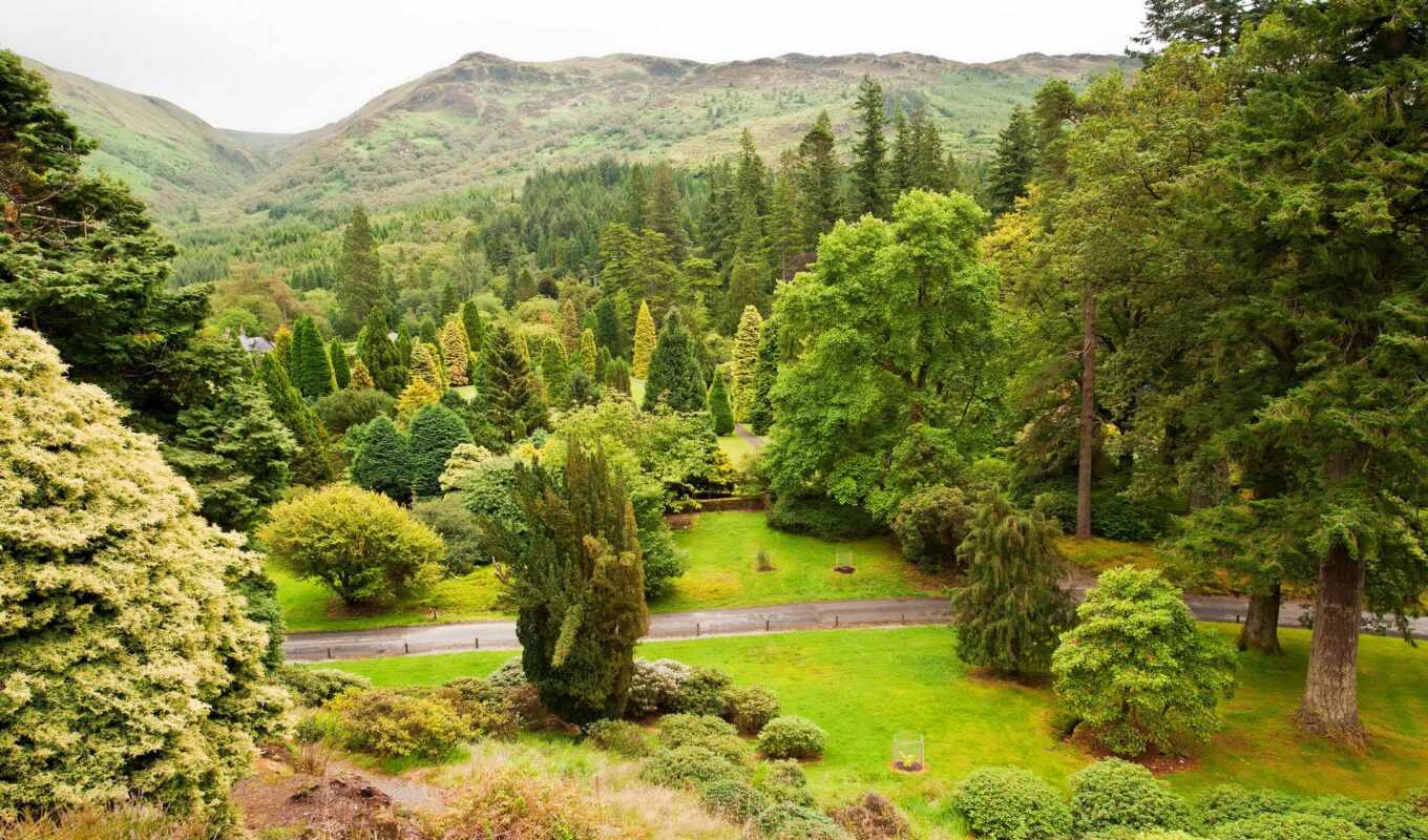 mountain, garden, scotia, botanic, benmore