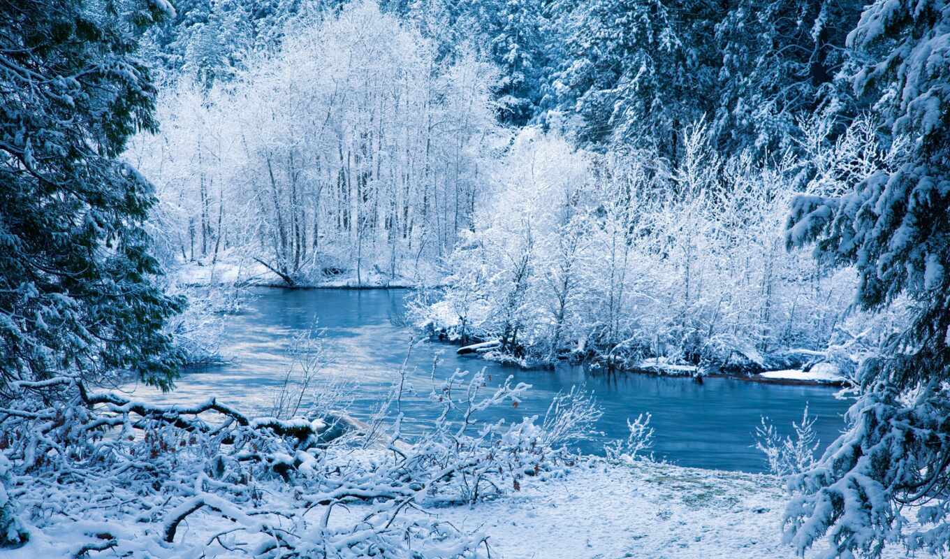 природа, снег, winter, лес, landscape, trees, rivers, кустики, ürek, ветви