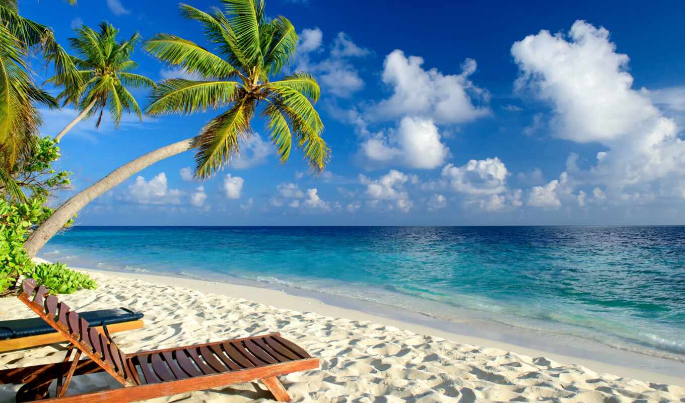 nature, sky, photo, beach, sea, cloud, rest, palm, tropical, tropic, beach
