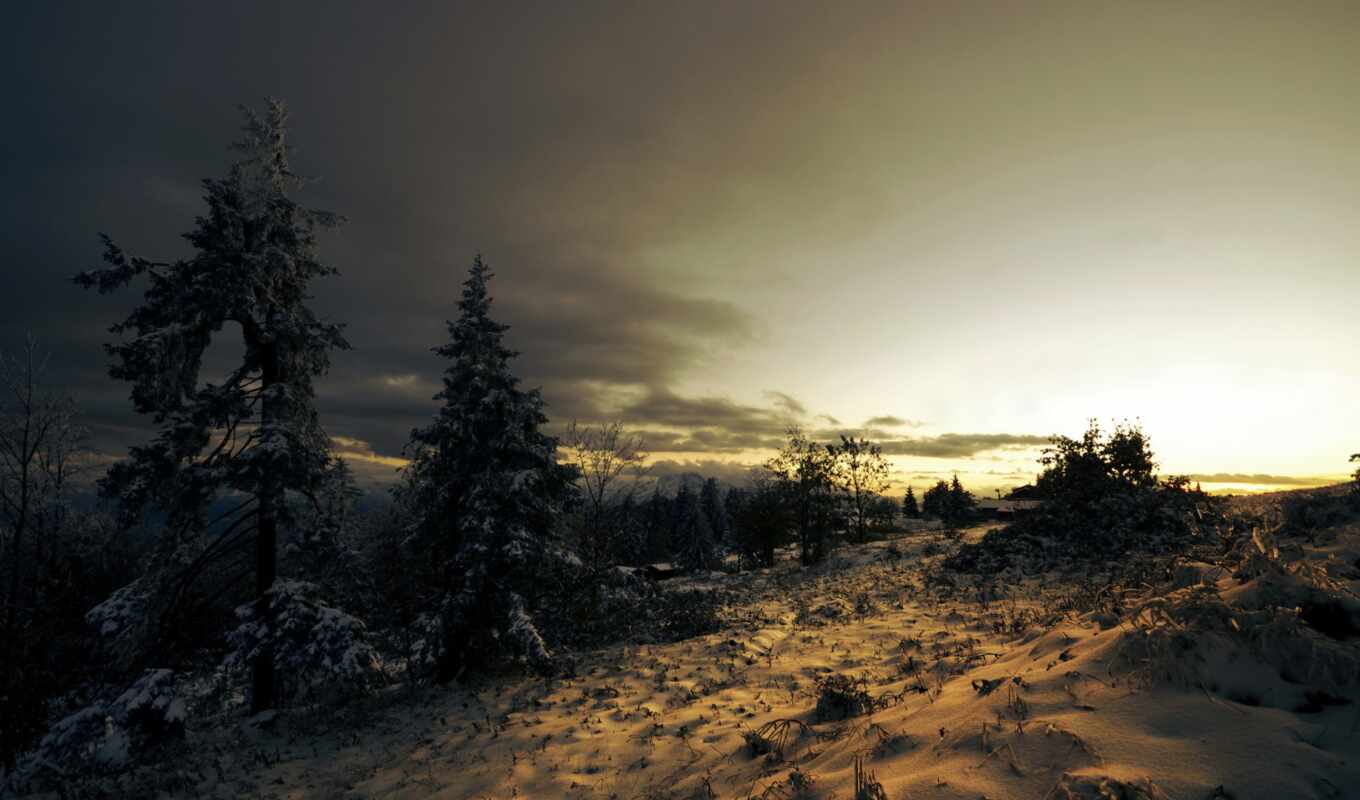 trees, sunset, snow, clouds, landscape, winter, fir, double