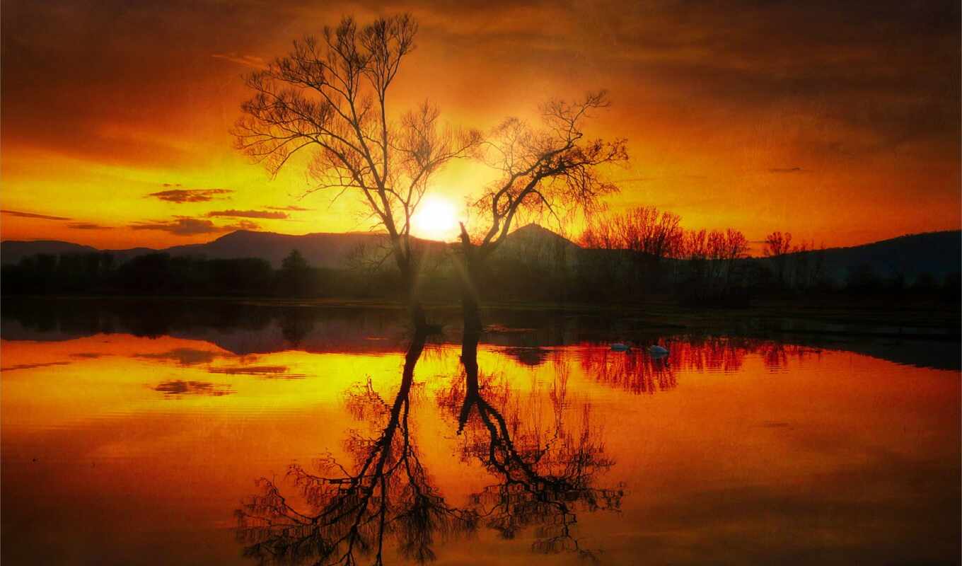 sky, photo, red, tree, water, morning, reflection