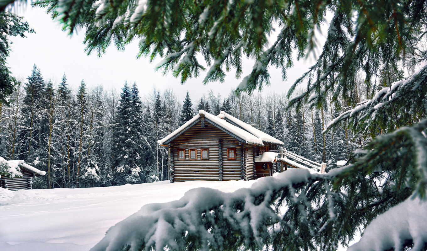 black, house, winter, lodge, forest, the wall, wooden, interior, in winter, photo wallpapers
