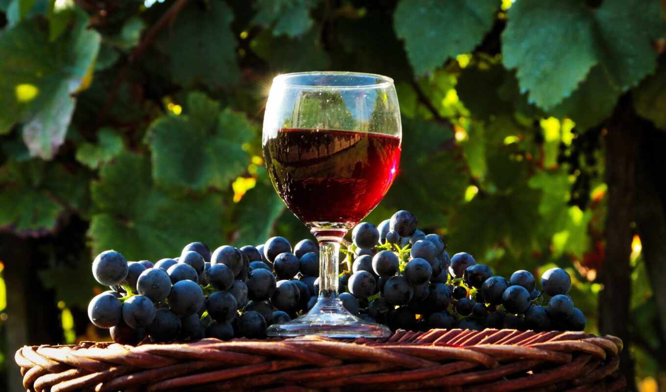 wine, home, domestic, grape, the fault, recipe