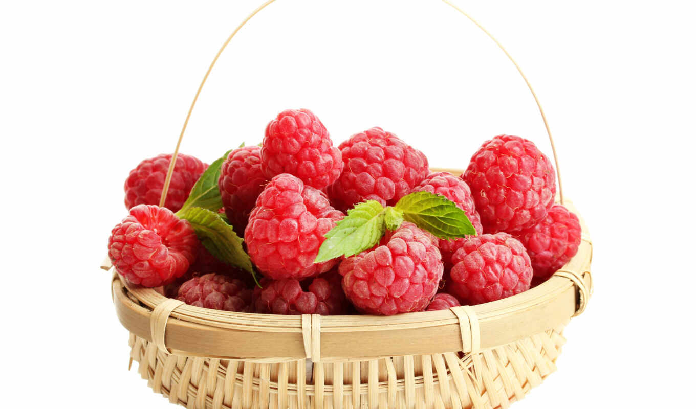 Russia, tea, raspberry, basket, available, variety, everything, glory, tucosh