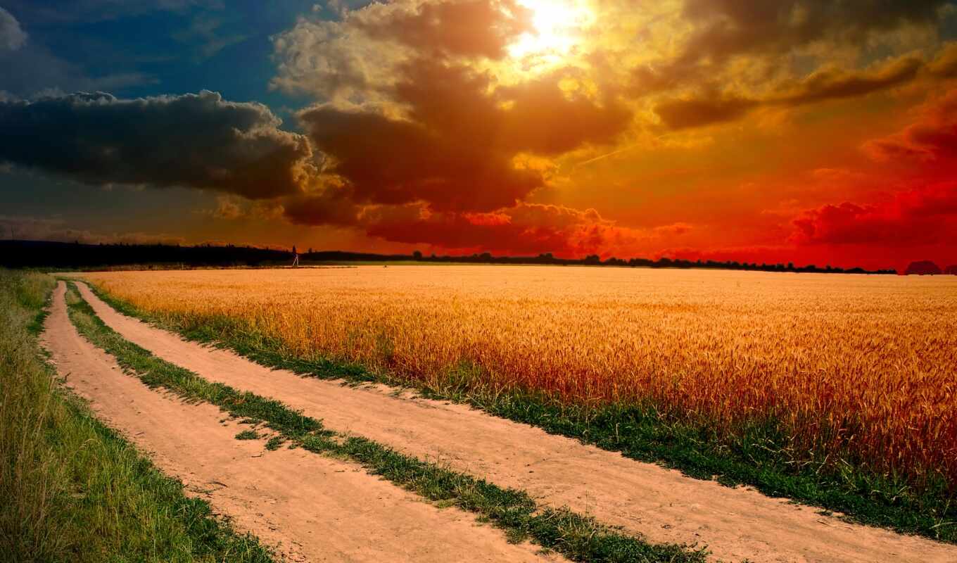 небо, fone, sun, закат, дорога, поле, дороги, поля, ах, along, грунтовая, пшеничного, проходящая