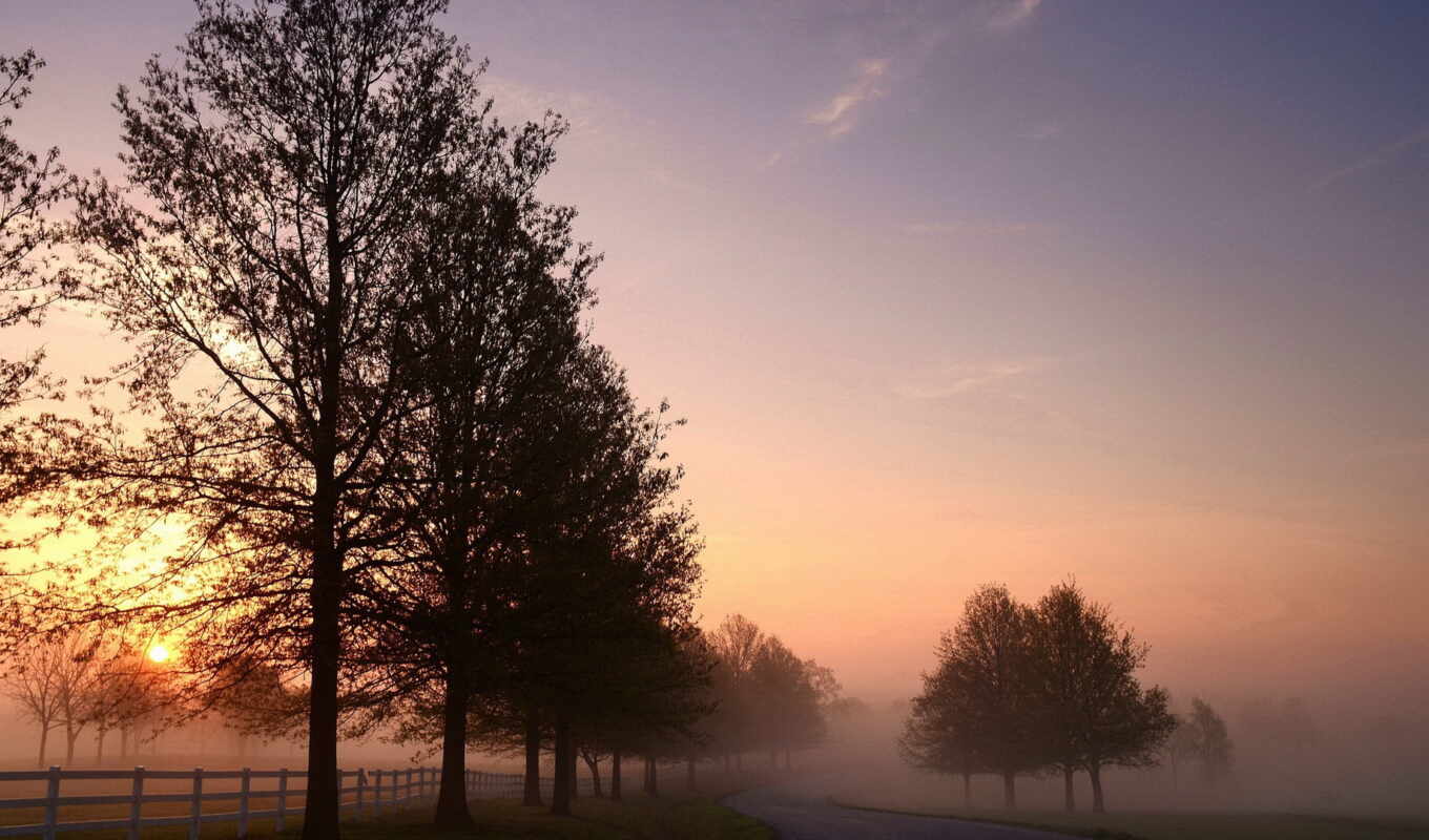 road, landscape, morning, fog, alcatel