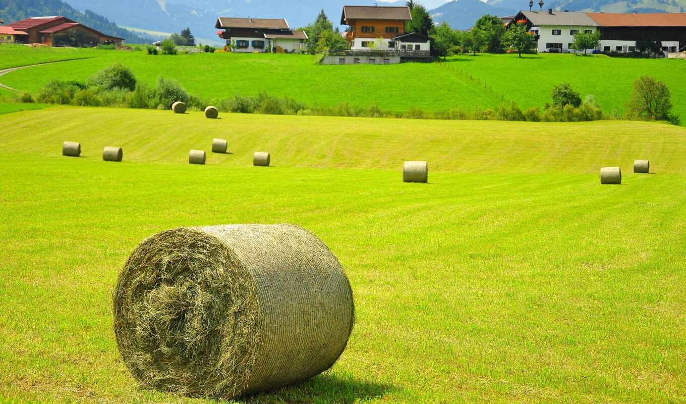 nature, house, field, landscape, Austria, tag, hay, ultra