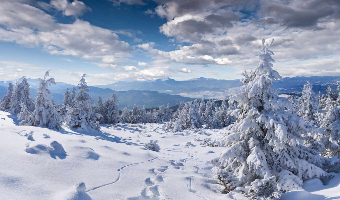 природа, снег, winter, гора, trees