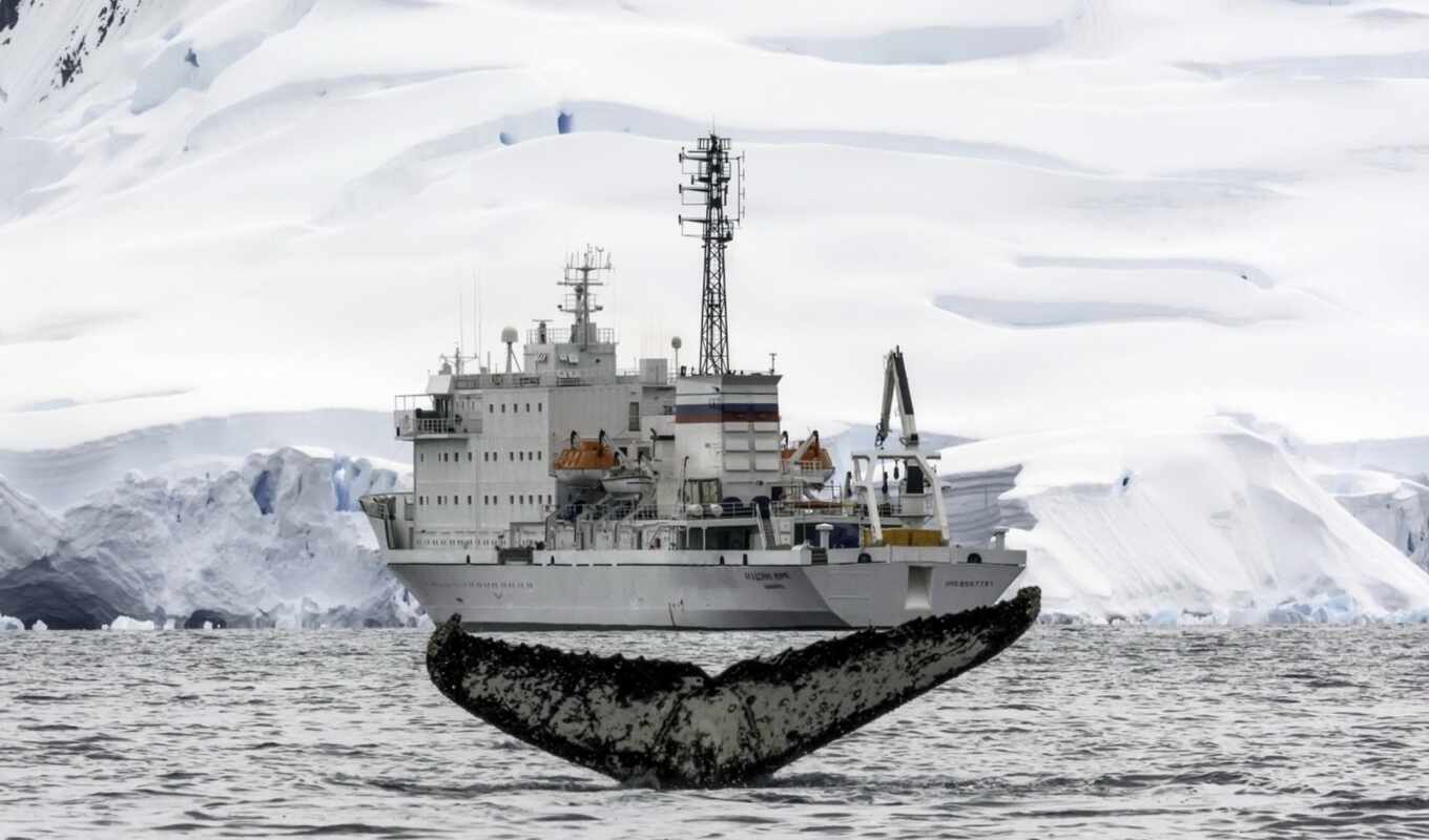 корабль, антарктида