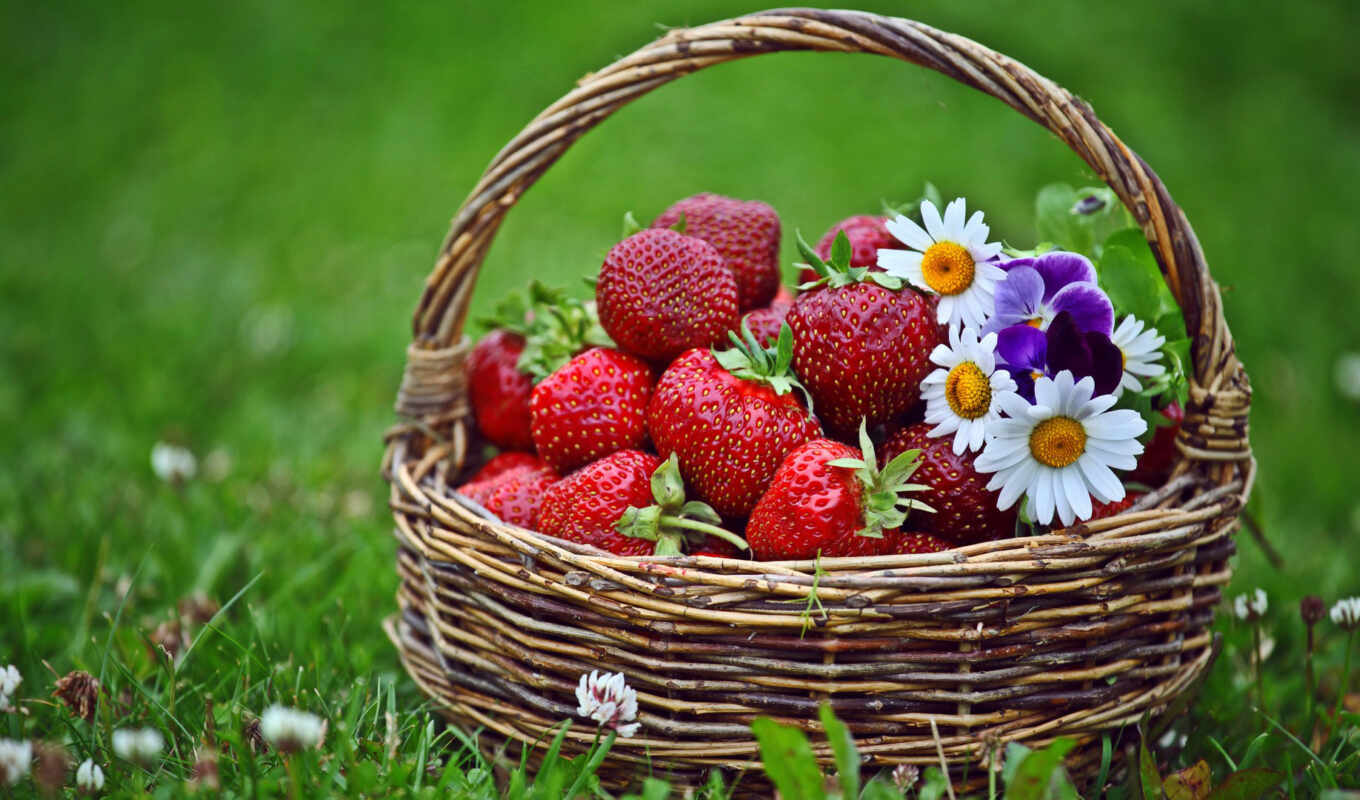 flowers, strawberry, tucosh, funart
