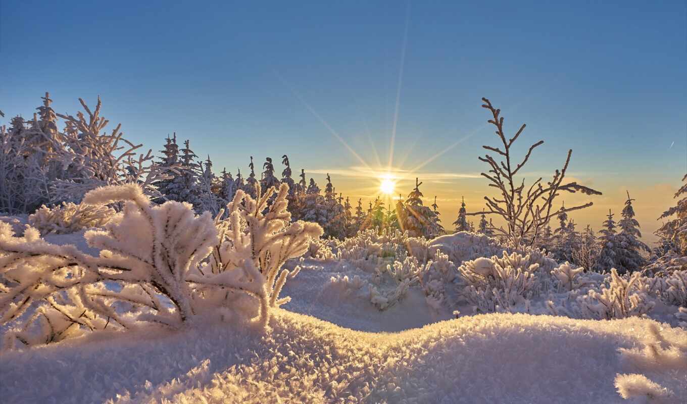 sun, frost, winter, day, morning, holy, pushkin