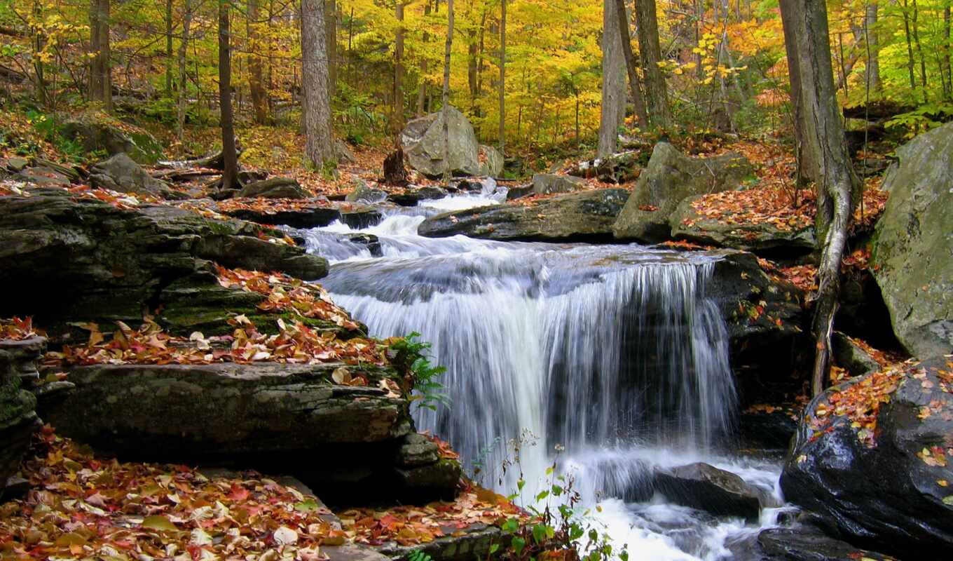 природа, water, лес, осень, листва, водопад, камни, лирическое