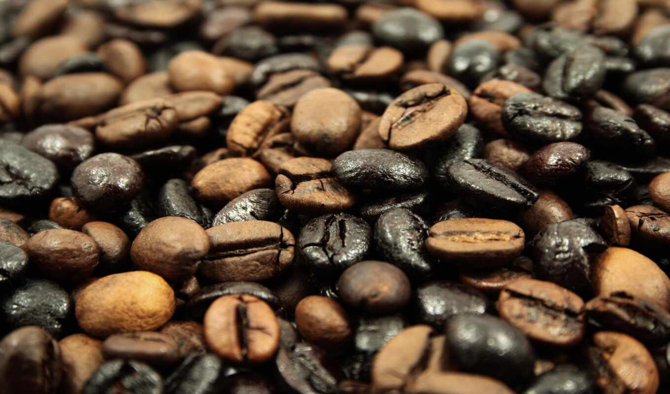 coffee, big, one, wholesale, cafe, available, variety, arabian, quaker