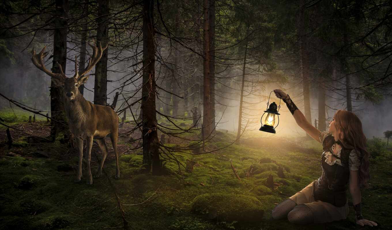 photo, girl, light, tree, dark, lamp, wood, public, domain, stag, fore