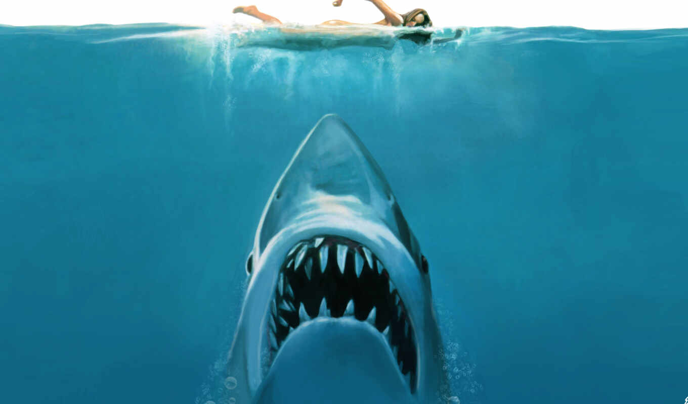 images, they, screen, fond, fund, attaque, white, any, shark